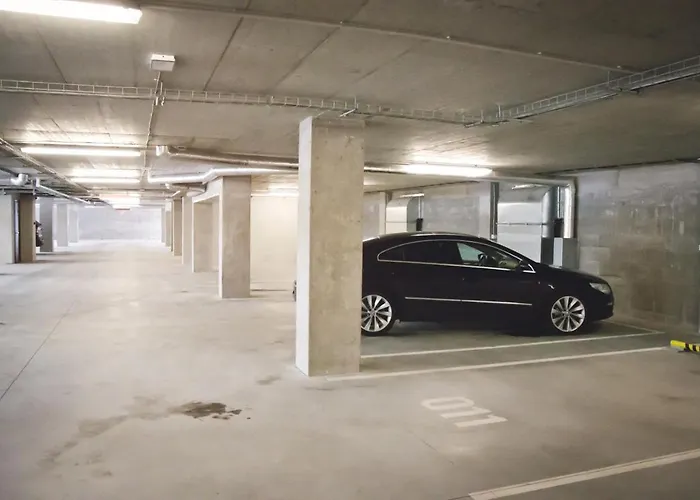 Rezidence Moser-free Parking Garage דירה קרלובי וארי